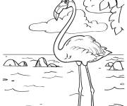 Coloriage Portrait de flamant rose dans la mer