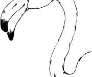 Coloriage et dessins gratuit T&ecirc;te de flamant rose à imprimer
