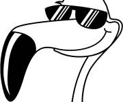Coloriage et dessins gratuit T&ecirc;te de Flamant rose portant des lunettes de soleil à imprimer