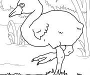 Coloriage Un b&eacute;b&eacute; flamant rose r&eacute;aliste