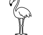Coloriage Un flamant rose adulte &agrave; t&eacute;l&eacute;charger
