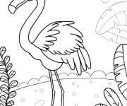 Coloriage Un flamant rose mignon, le beau oiseau