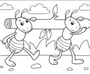 Coloriage et dessins gratuit Deux fourmis en travaillant à imprimer