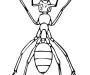 Coloriage et dessins gratuit Esp&egrave;ce de fourmi pharaon à imprimer