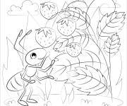 Coloriage et dessins gratuit Fourmi aime les fraises à imprimer