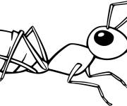 Coloriage et dessins gratuit Fourmi en noir et blanc à imprimer