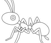 Coloriage Fourmi imprimable