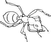 Coloriage et dessins gratuit Fourmi maternelle à imprimer