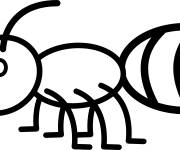 Coloriage et dessins gratuit Fourmi simple à imprimer