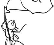 Coloriage Fourmi sur la fleur