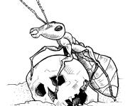 Coloriage et dessins gratuit Fourmi sur une squelette à imprimer