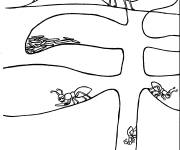 Coloriage La royaume des fourmis
