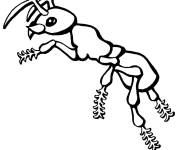 Coloriage Petite insecte fourmi