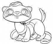 Coloriage Furet mignon