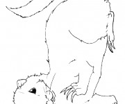 Coloriage Furet pigmenté