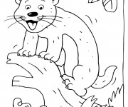 Coloriage Furet sur l'arbre