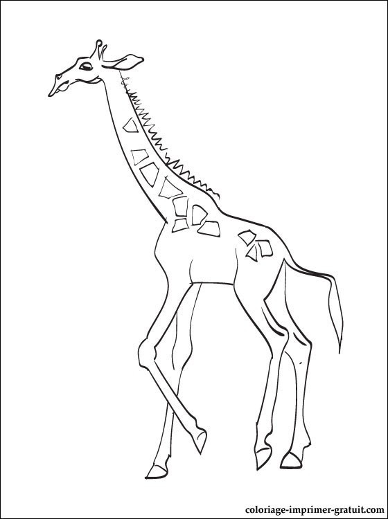 Coloriage Girafe Gratuit à Imprimer Liste 60 à 80