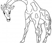 Coloriage Girafe adulte