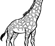 Coloriage Girafe avec yeux ferm&eacute;s