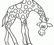 Coloriage Girafe baissant la tête