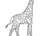 Coloriage Girafe