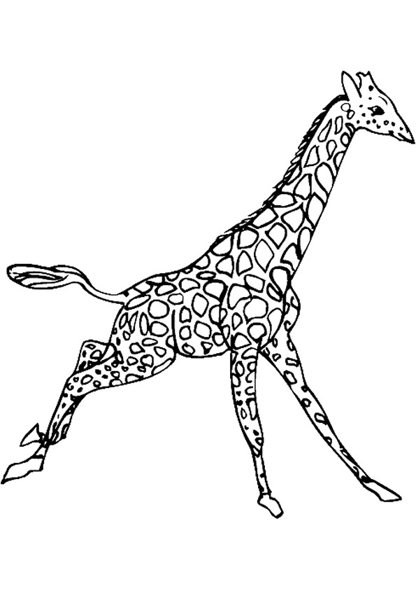 Coloriage Girafe en sautant dessin gratuit à imprimer