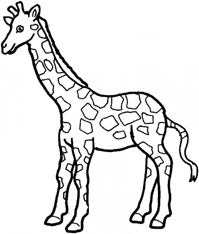 Coloriage Girafe et sa la longue cou dessin gratuit à imprimer