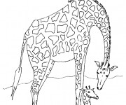 Coloriage Girafe et son  b&eacute;b&eacute; sous le soleil