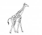 Coloriage Girafe longue