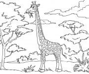 Coloriage Girafe mange de l'arbre