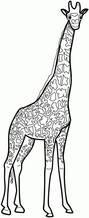 Coloriage et dessins gratuits Girafe vecteur à imprimer