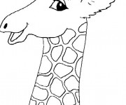 Coloriage T&ecirc;te de belle  Girafe