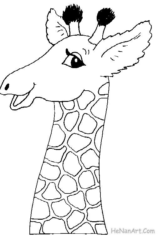 Coloriage et dessins gratuits Tête de belle  Girafe à imprimer