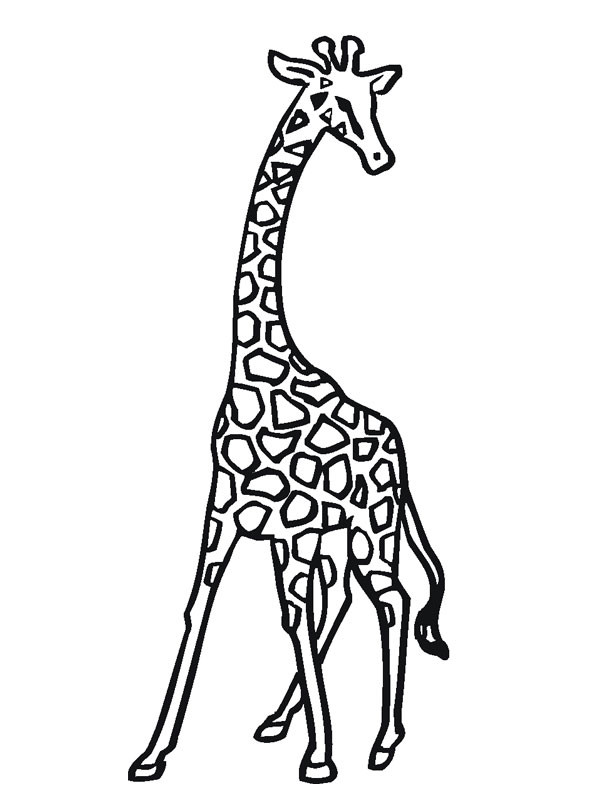 Coloriage et dessins gratuits Une Girafe en noir à imprimer