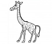 Coloriage Une petite Girafe