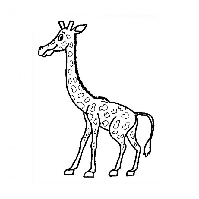 Coloriage et dessins gratuits Une petite Girafe à imprimer