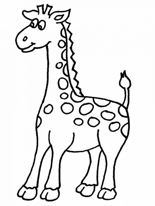 Coloriage Girafe gratuit à imprimer