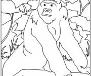 Coloriage et dessins gratuit Gorille dans la forêt à imprimer