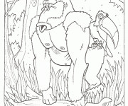 Coloriage et dessins gratuit Gorille et perroquet à imprimer