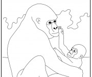Coloriage Gorille et son b&eacute;b&eacute;