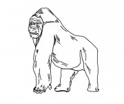 Coloriage et dessins gratuit Gorille facile à imprimer