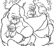 Coloriage et dessins gratuit Gorilles en famille à imprimer