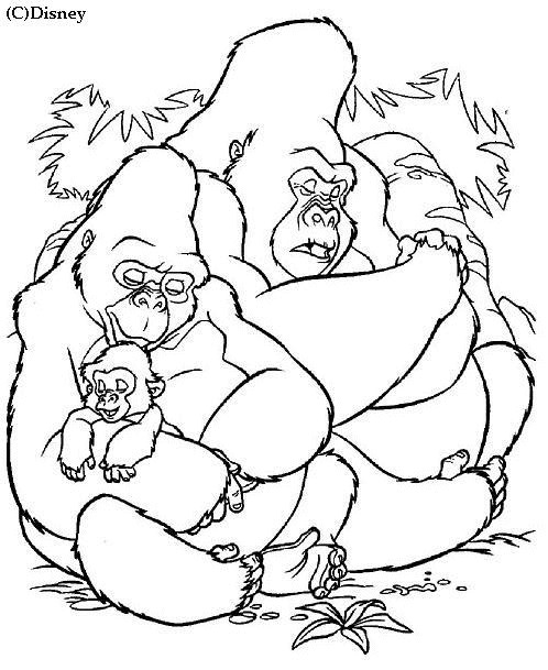 Coloriage et dessins gratuits Gorilles en famille à imprimer