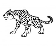 Coloriage Guepard gratuit à imprimer