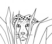 Coloriage Guépard caché