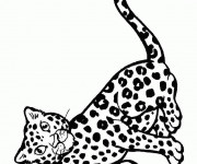 Coloriage Guépard en s'amusant