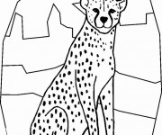 Coloriage Guepard facile