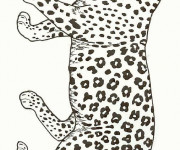 Coloriage Guépard ouvrant sa bouche