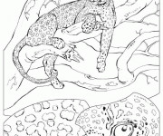 Coloriage Guépard sur l'arbre