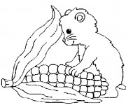 Coloriage et dessins gratuit Hamster en train de manger à imprimer